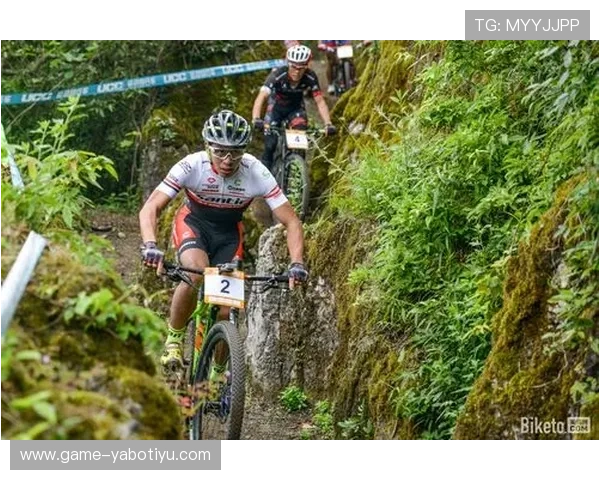 亚搏足球比赛观赛体验与在线观赛指南