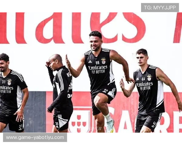 博亚体育app官网下载入口最新版本更新内容及使用技巧分享